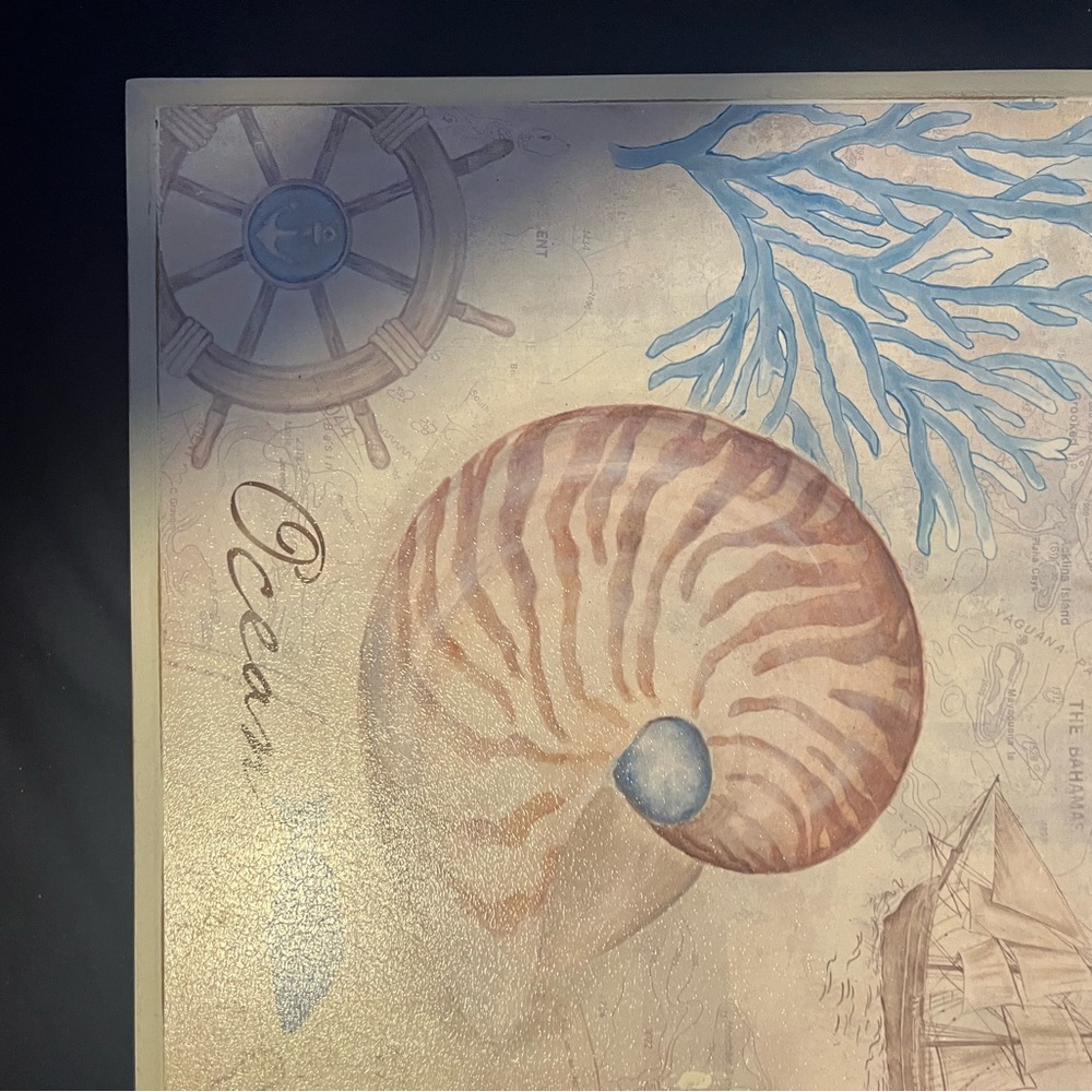 Kirkland's Coastal Seashell Wall Art